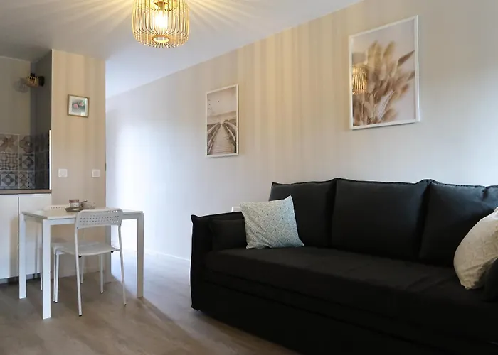 Magnifique Studio Le Flamant Dore Avec Loggia, Terrasse & Climatisation, Proche Mer