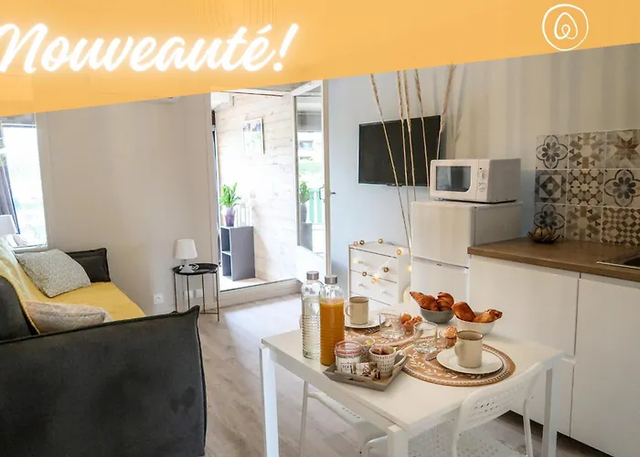 Magnifique Studio Le Flamant Dore Avec Loggia, Terrasse & Climatisation, Proche Mer